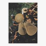 Snorkelling In The Shallows