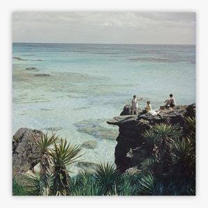 A Nice Spot For Lunch