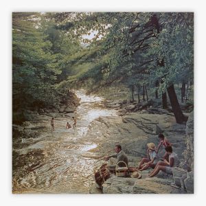 Campbell Falls Picnic