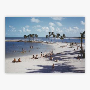 Matheson Hammock Park