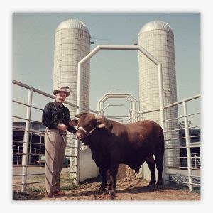 Rockefeller And Bull