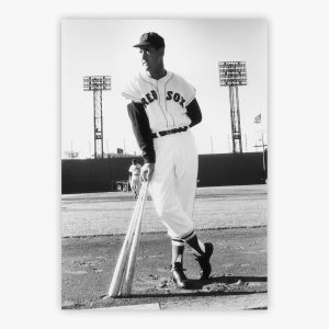 Ted Williams
