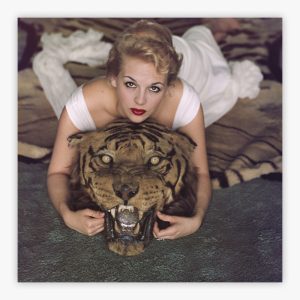 Beauty And The Beast