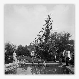 Beverly Hills Christmas