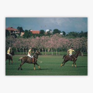 Caribbean Polo Match