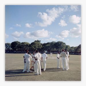 Cricket In Antigua