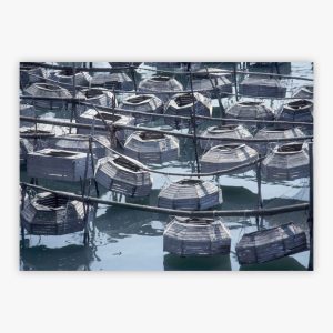 Fish Traps In Venice