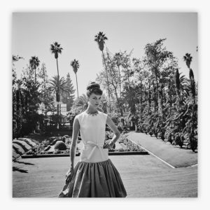 Gretchen Van de Kamp Ward In Gustave Tassell