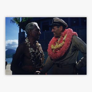 Hawaiian Greeting