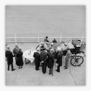 High Society Cricket