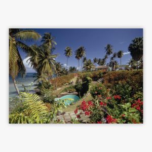 Mr and Mrs John James