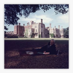 Sandwich In The Shade